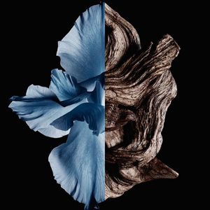 Givenchy Gentleman Intense woda toaletowa spray 60ml